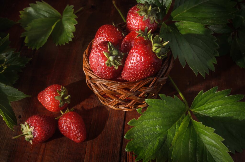 maasikate istutamine