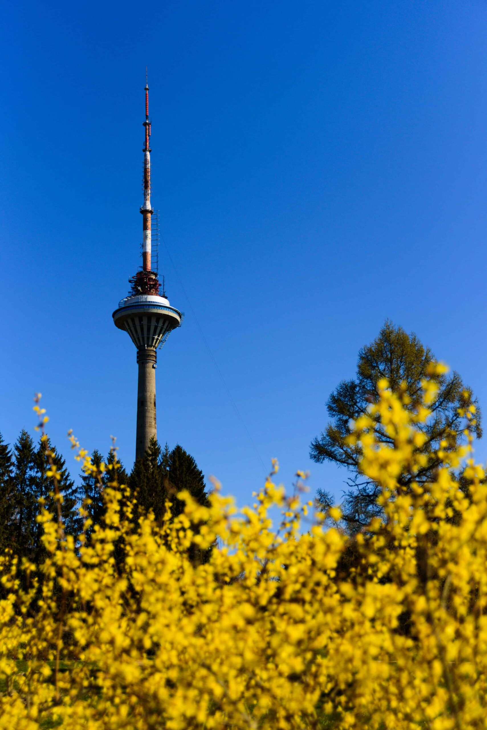 tallinna teletorn